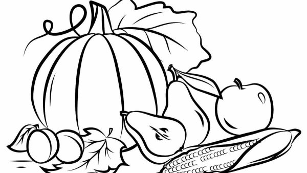 Натюрморт раскраска