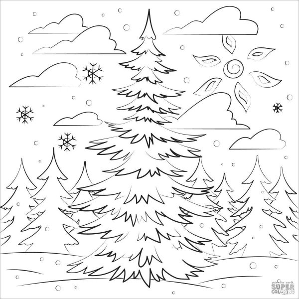 Ель в лесу раскраска для детей