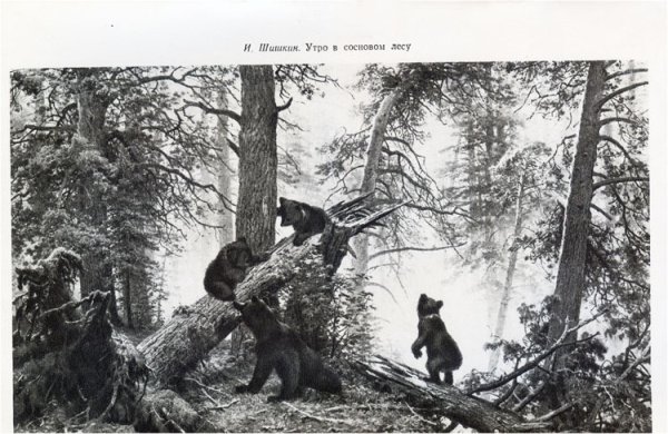 Картина Шишкина утро в Сосновом Бору