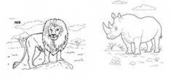 Дикие животные раскраски для детей средней группы