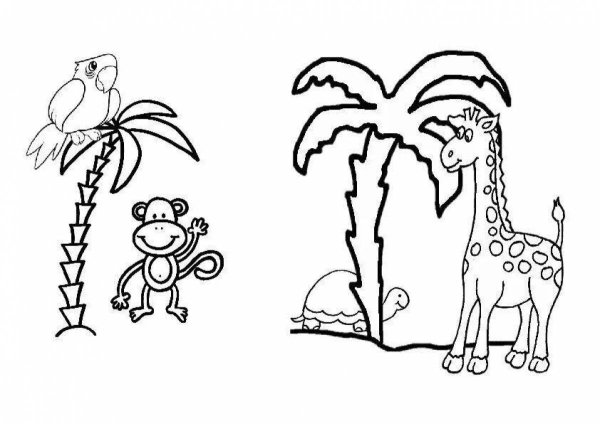 Раскраска Африка