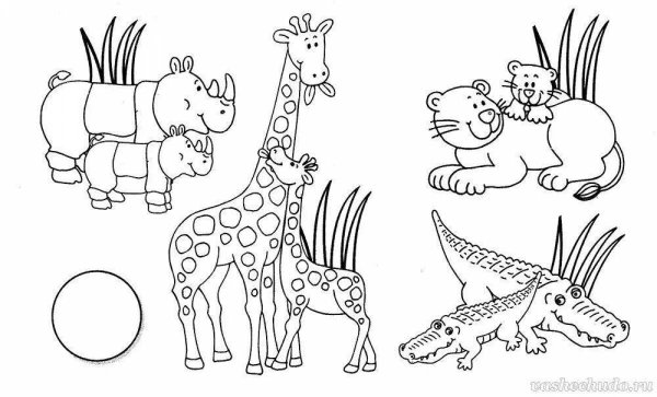 Задания животные жарких стран для дошкольников раскрась