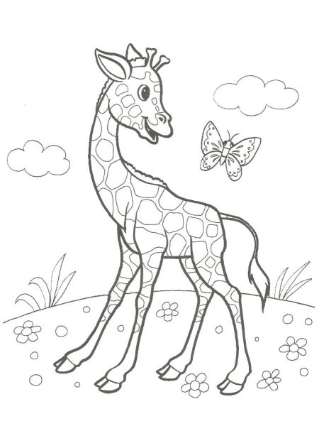 Раскраска Жираф для детей 6-7 лет
