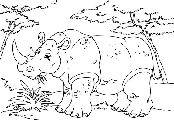 Носорог раскраска