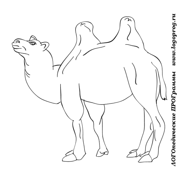 Трафарет верблюда для рисования