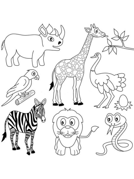 Раскраска животных Африки для детей