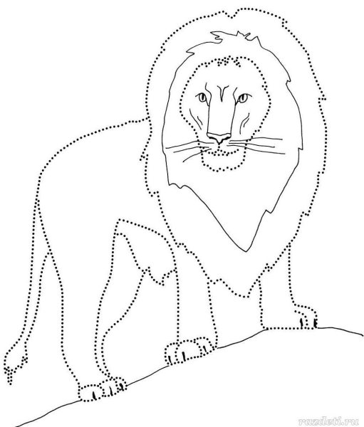 Раскраска Дикие кошки