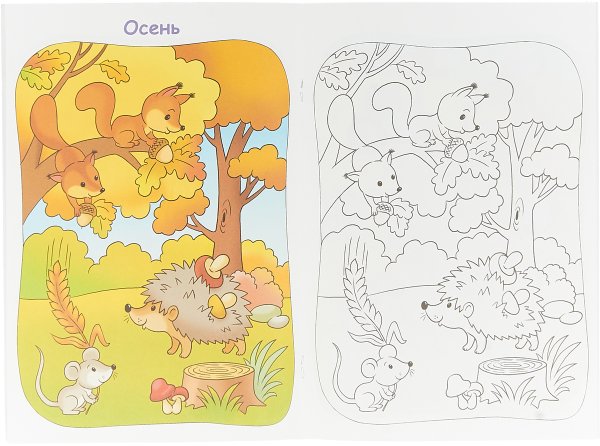 Раскрась осенний лес для детей 5 лет