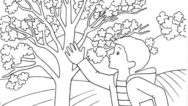 Цветущие сады раскраска