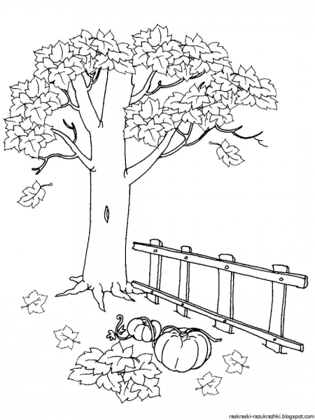 Осенний пейзаж раскраска