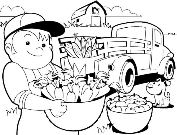 Раскраска сбор урожая