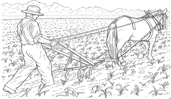 Раскраски сельскохозяйственный труд