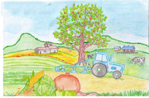 Рисунки на тема СЕЛЬСКОЕХОЗЯЙСТВО