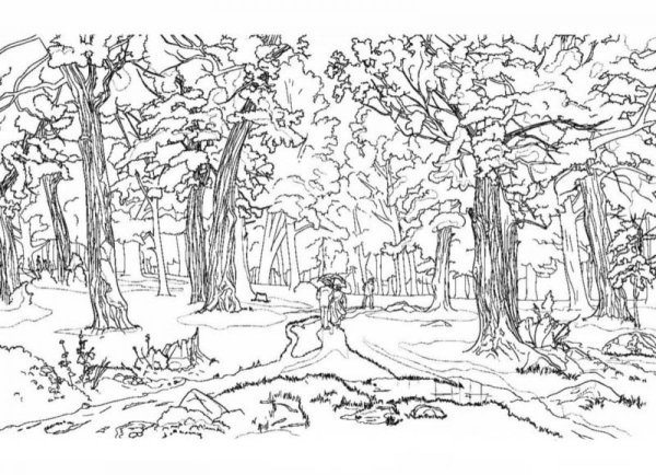 Осенний пейзаж раскраска