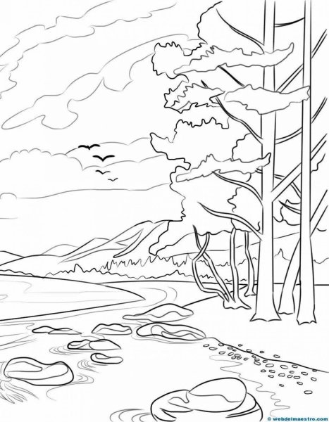 Раскраска река в лесу
