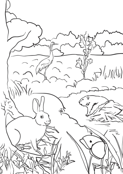 Лесной пожар раскраска