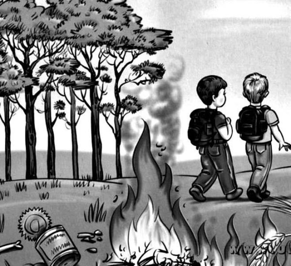 Пожар в лесу черно белый