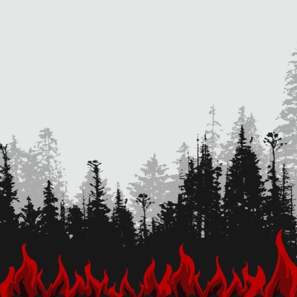 Силуэт горящего леса