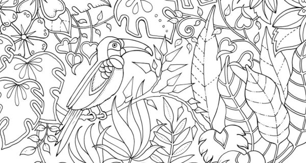 Раскраска тропический лес