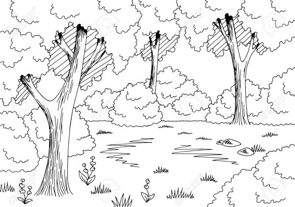 Лесная Поляна чб нарисованная