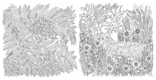 Антистресс природа