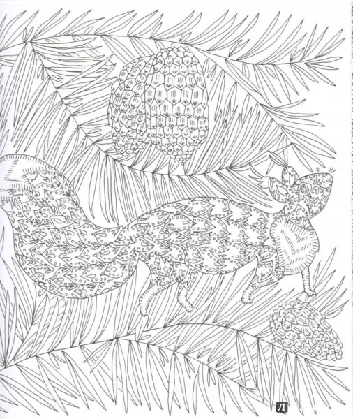 Чародеи и лес