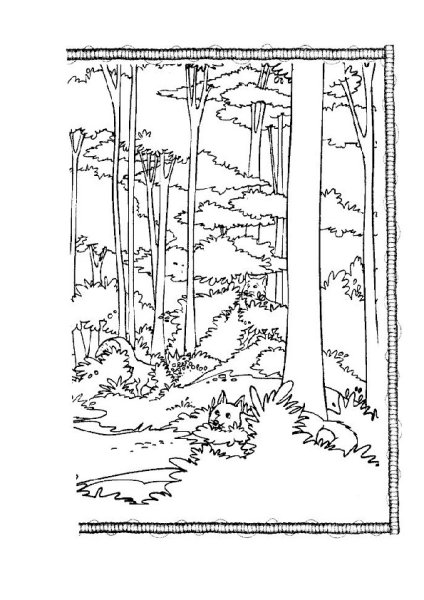 Пришвин этажи леса раскраска