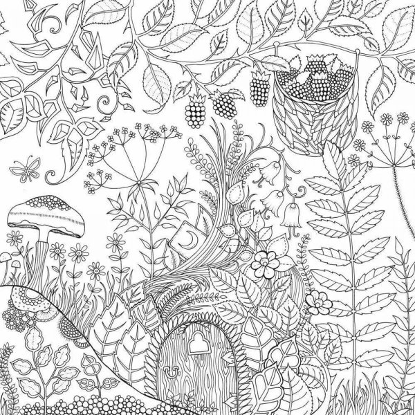 Джоанна Бэсфорд таинственный лес