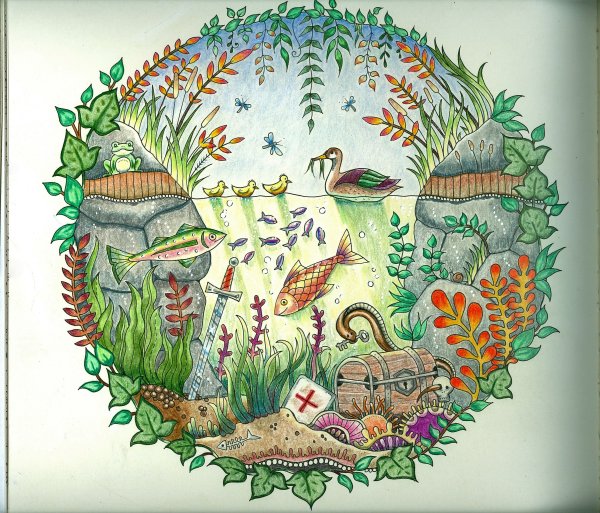 Зачарованный океан Джоанна Басфорд