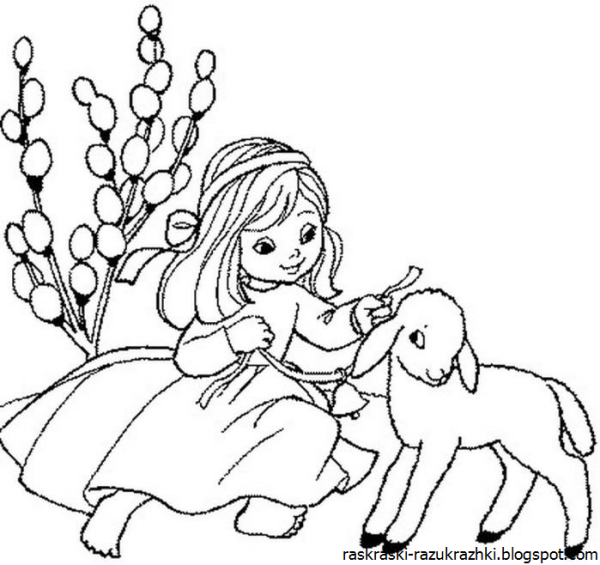 Верба раскраска