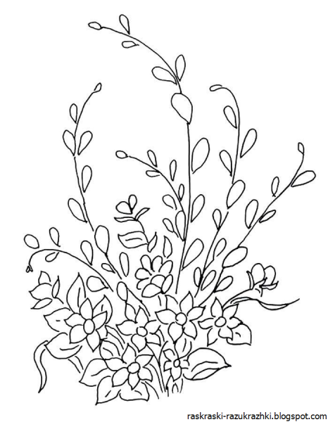 Верба раскраска