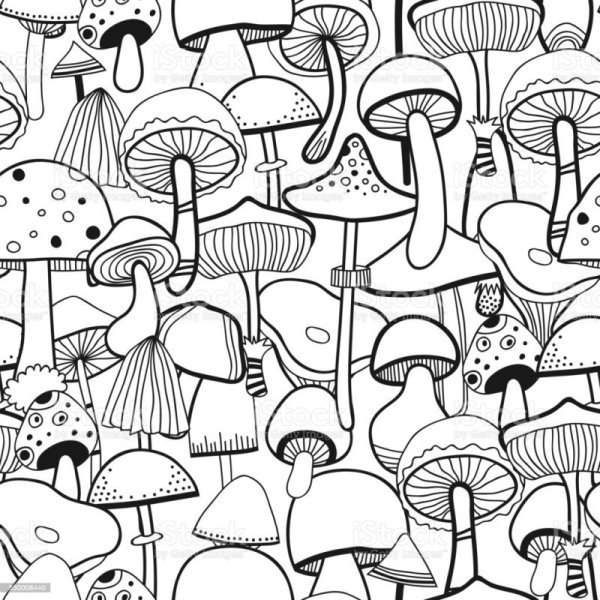 Фон грибы Графика