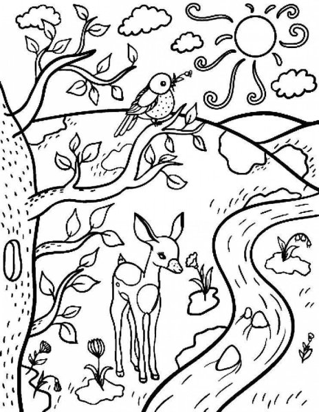 Весенний пейзаж раскраска