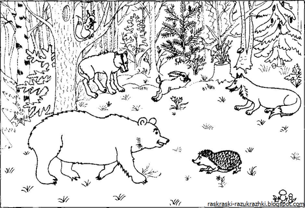 Дикие животные задания для дошкольников