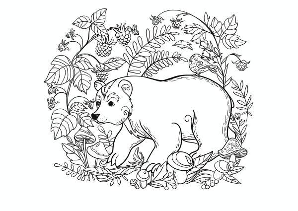 Раскраска животные леса