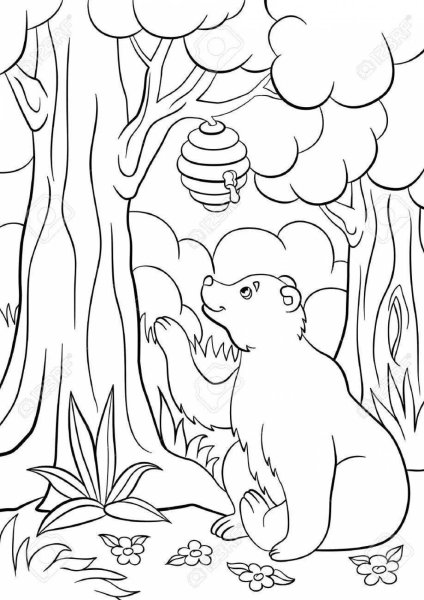 Медвежонок на дереве раскраска