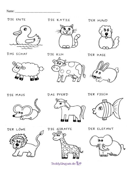 Животные немецкий язык задания Tiere