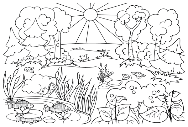 Раскраска природа