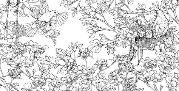 Рапсодия раскраска