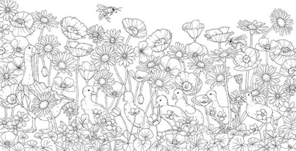 Раскраска Menuet de bonheur