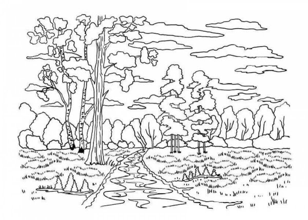 Осенний пейзаж раскраска