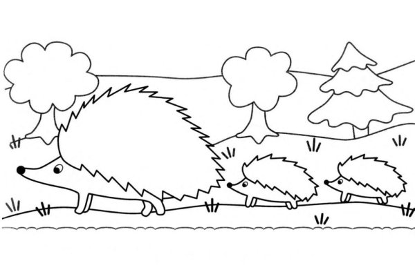 Раскраска Ежик с ежатами