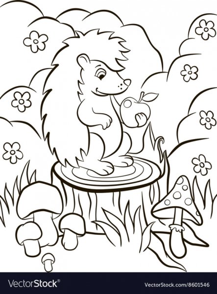 Ежик в лесу раскраска для детей