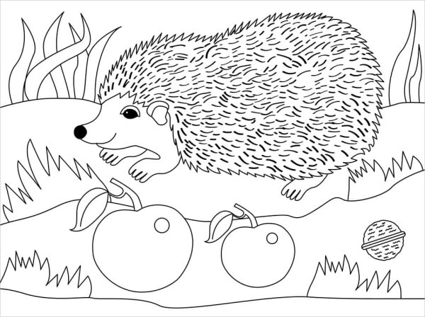 Ежик в лесу раскраска для детей