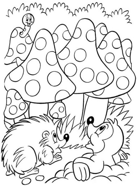 Ежик с грибами раскраска
