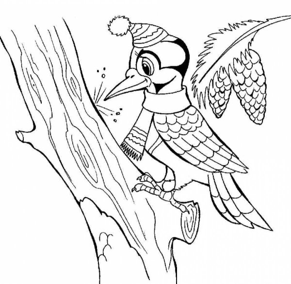 Дятел раскраска для детей