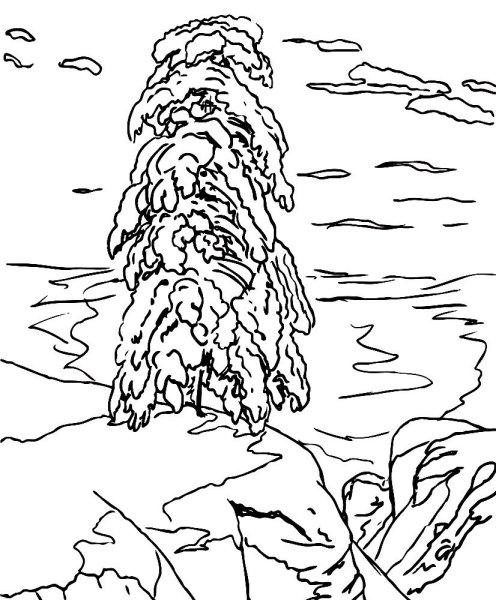 Раскраска картины Шишкина