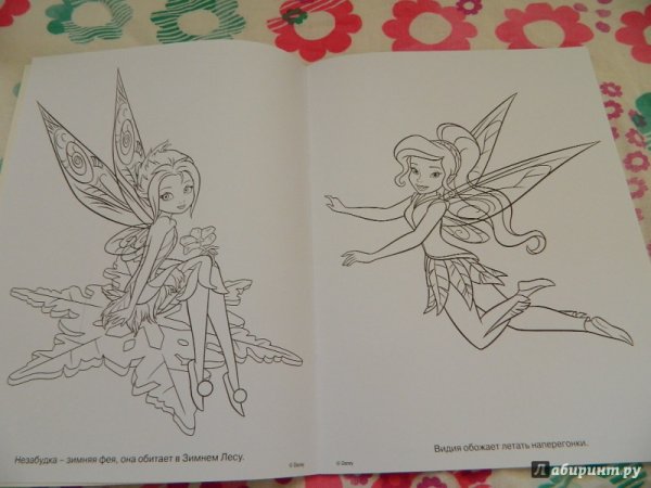 Раскраска Фея Незабудка