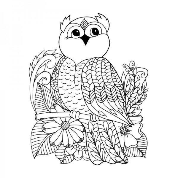 Сова раскраска