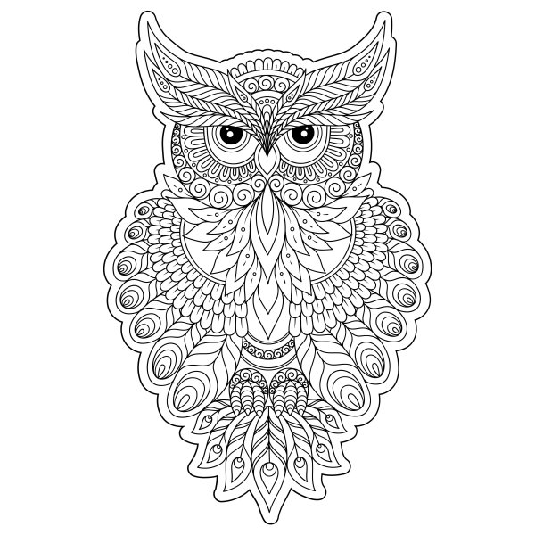Антистресс раскраска Сова вектор